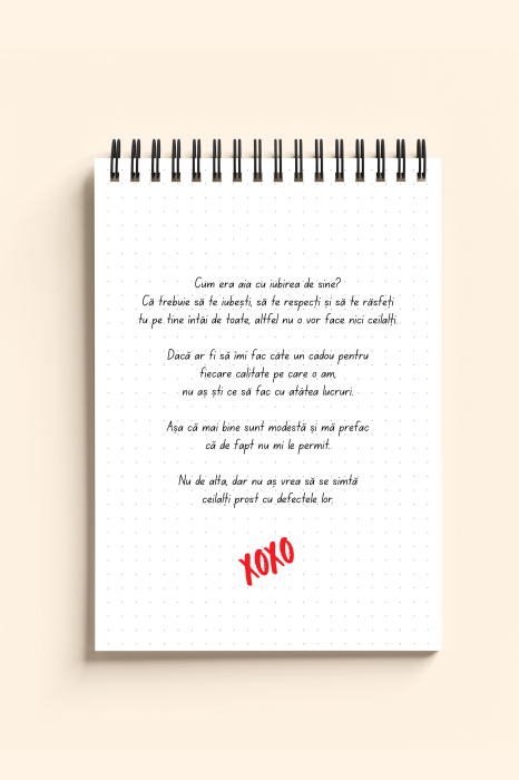 Carnet ironic - Cadouri pe care le merit dar nu mi le permit [2]