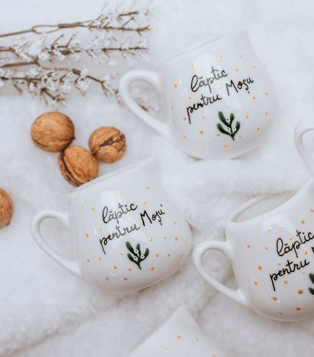 Mini latiera - Laptic pentru Mosu [3]