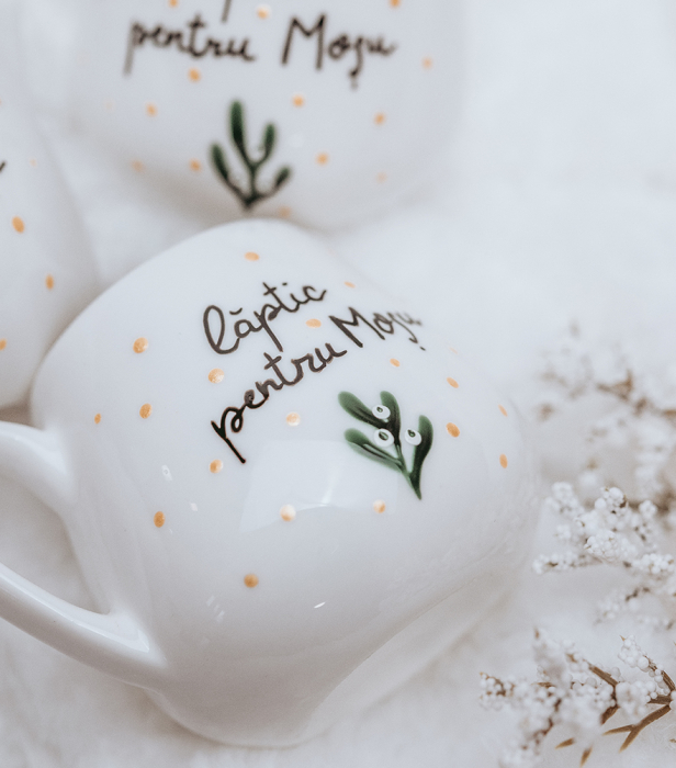 Mini latiera - Laptic pentru Mosu [5]