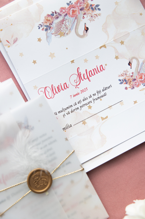 Invitatie de botez Lacul lebedelor [4]
