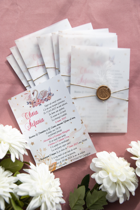 Invitatie de botez Lacul lebedelor [2]