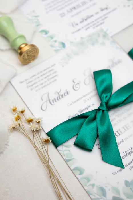 Invitatie de nunta Cristina [2]