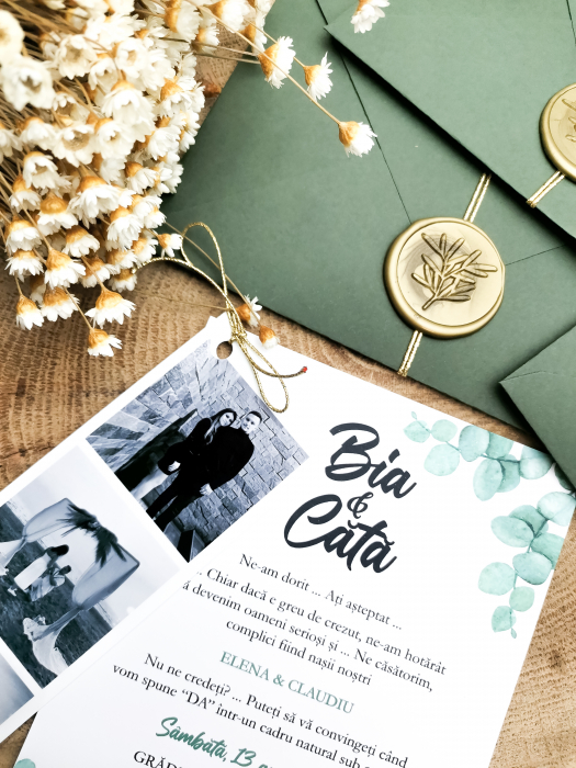 Invitatie de nunta Bianca [6]