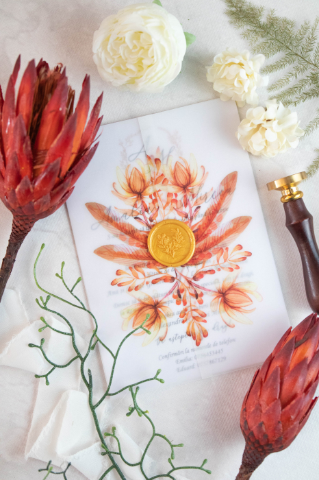 Invitatie de nunta Moreea [5]