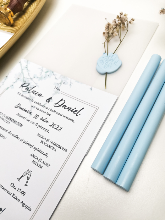 Invitatie de nunta Raluca [6]