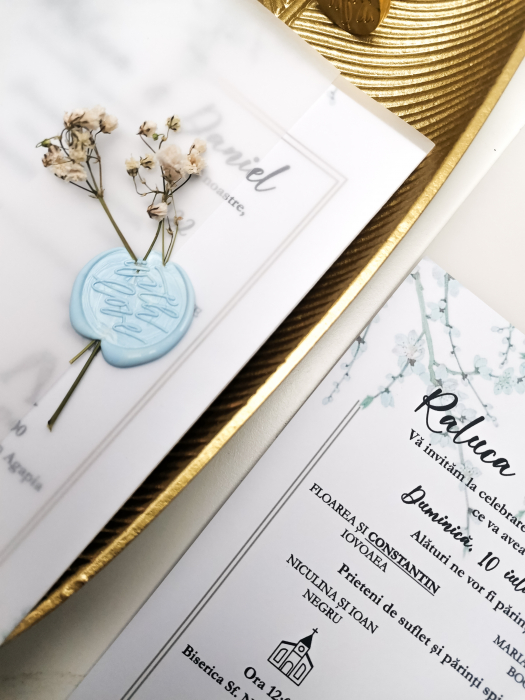 Invitatie de nunta Raluca [5]