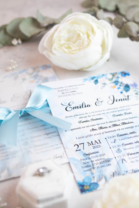 Invitatie de nunta Roberta [7]