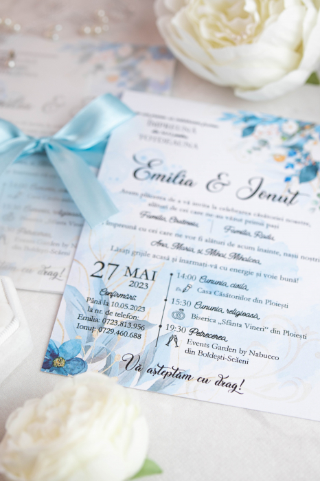 Invitatie de nunta Roberta [3]
