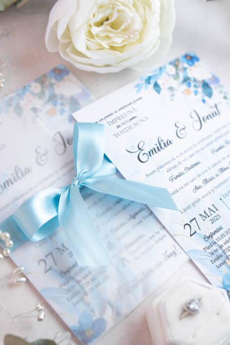 Invitatie de nunta Roberta [6]