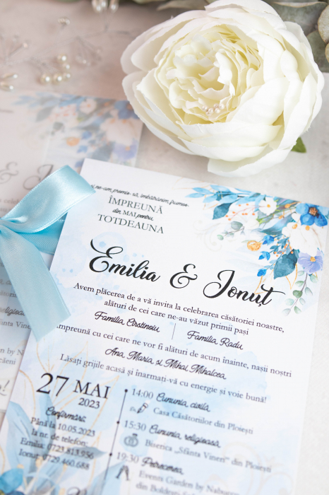 Invitatie de nunta Roberta [4]