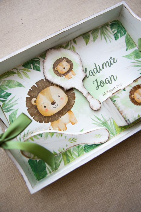 Set pentru mot Baby lion [6]