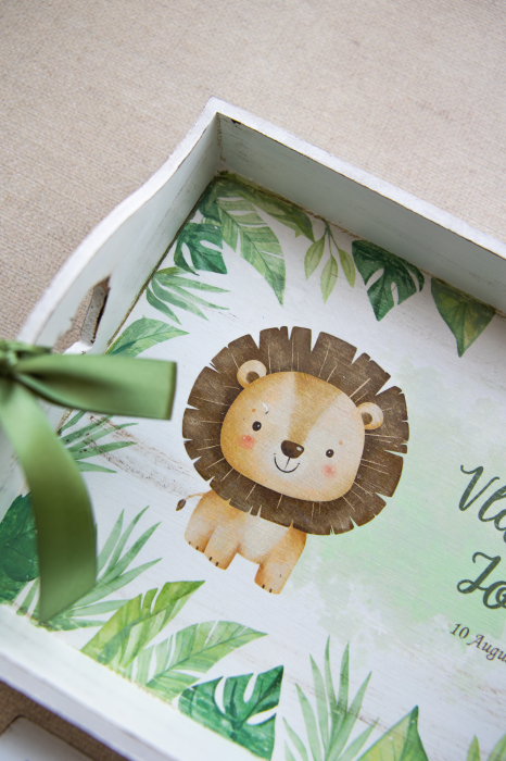 Set pentru mot Baby lion [4]