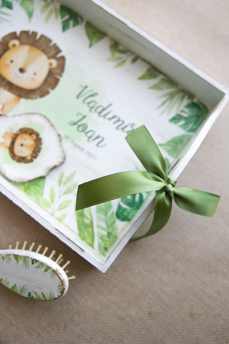 Set pentru mot Baby lion [2]