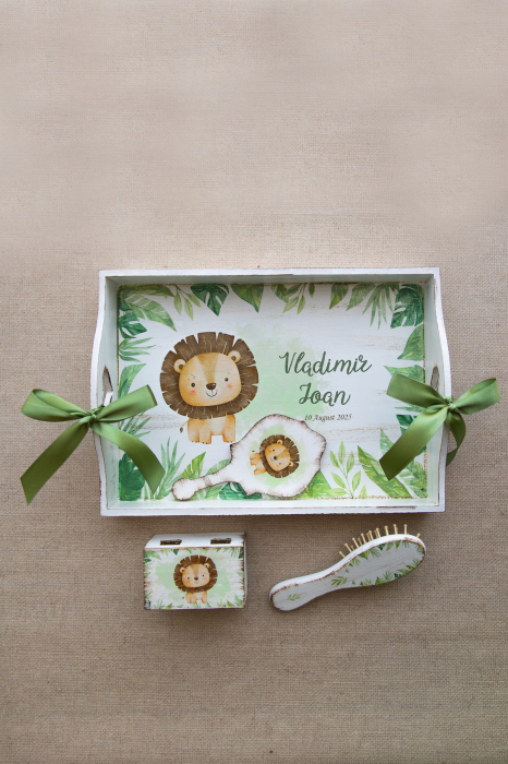 Set pentru mot Baby lion [1]