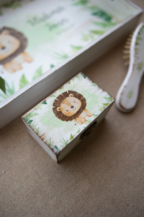 Set pentru mot Baby lion [3]