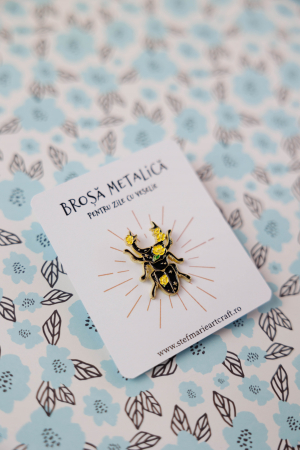 Brosa metalica Insecta 2 [1]