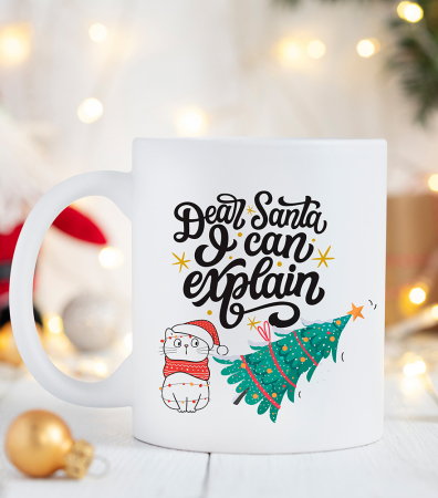 Căni - Cana Dear Santa, I can explain