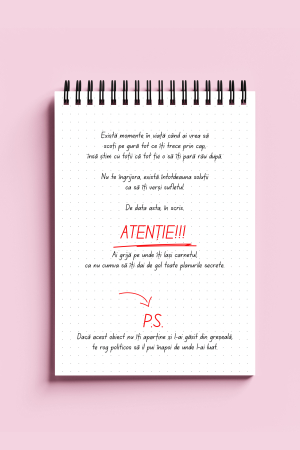 Carnet ironic - Lucruri pe care nu le pot spune cu voce tare [1]