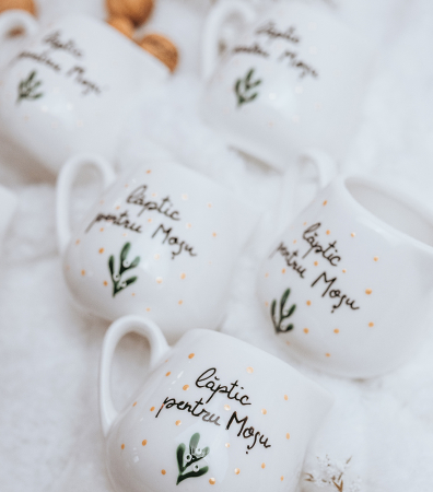 Mini latiera - Laptic pentru Mosu [1]