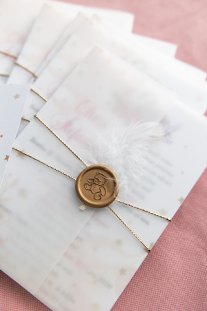 Invitatie de botez Lacul lebedelor [2]