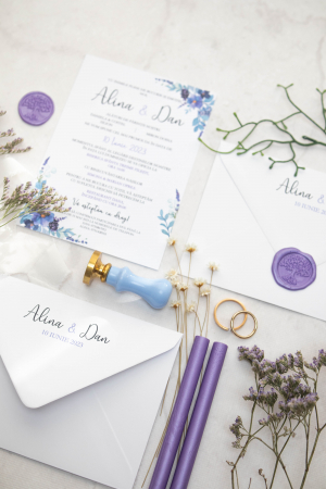 Invitatie de nunta Alina [4]