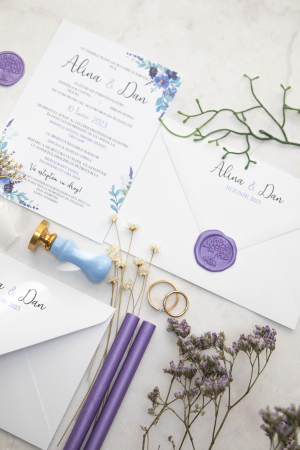 Invitatie de nunta Alina [6]