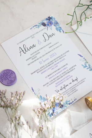 Invitatie de nunta Alina [1]