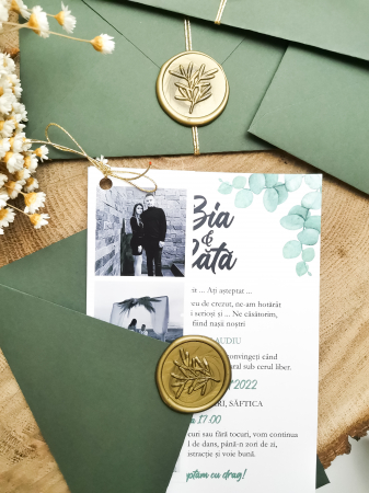 Invitatie de nunta Bianca [1]