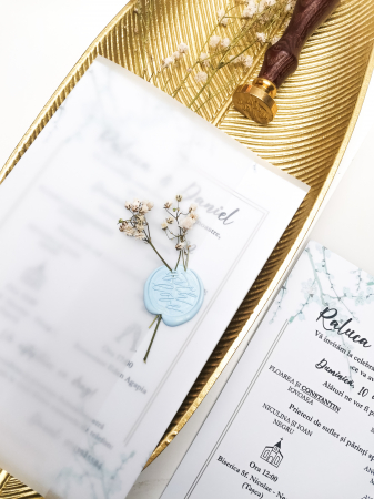 Invitatie de nunta Raluca [1]