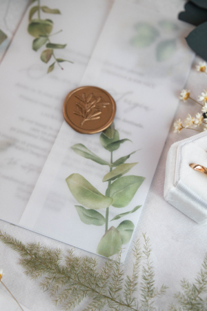 Invitatie de nunta Medeea [5]