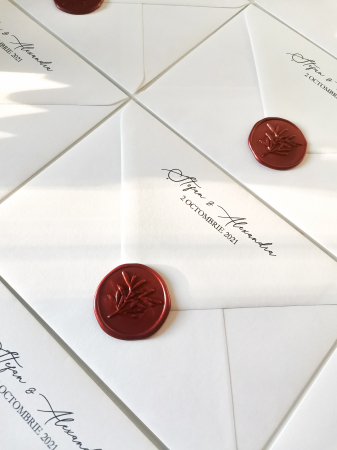 Invitatie de nunta Alexandra [9]