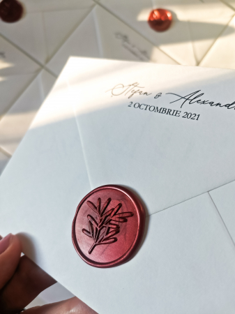 Invitatie de nunta Alexandra [5]