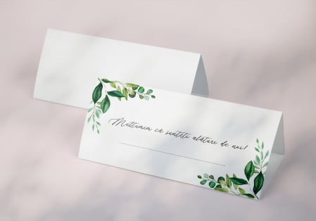 Plicuri pentru bani Nunta - Plicuri de bani SM19
