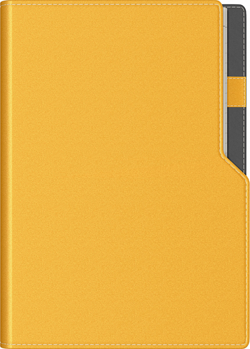 Agenda A5 Ultra Precision (8 variante de culori coperta) [2]