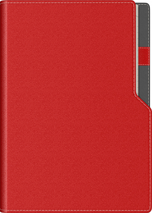 Agenda A5 Ultra Precision (8 variante de culori coperta) [2]