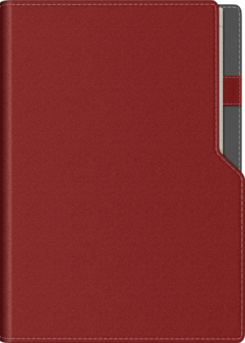 Agenda A5 Ultra Precision (8 variante de culori coperta) [2]