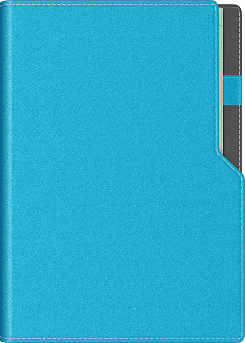 Agenda A5 Ultra Precision (8 variante de culori coperta) [7]