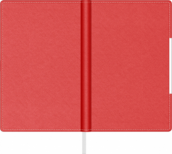 Agenda A5 Alicante Precision (7 variante de culori coperta) [3]