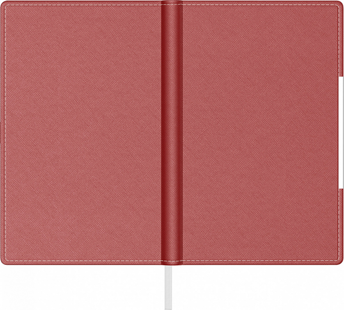 Agenda A5 Alicante Precision (7 variante de culori coperta) [4]
