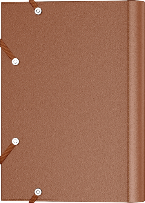 Mapa Piele A4 Beige, Caran d'Ache [6]