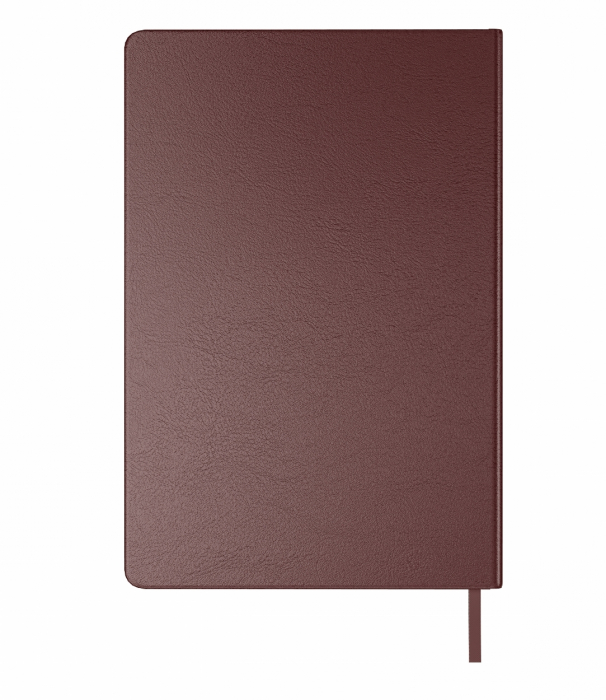 Agenda A5 Sundance Premium Brown, Scrikss [5]