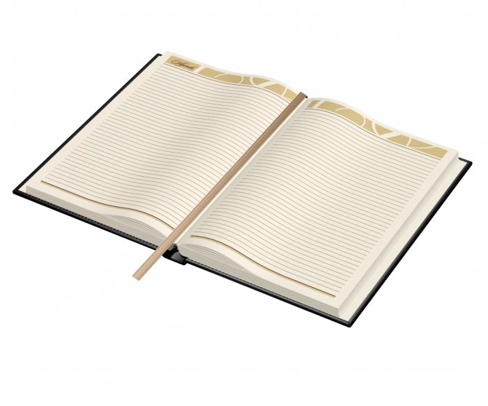 Agenda piele B5 Model C Black, Princ [2]