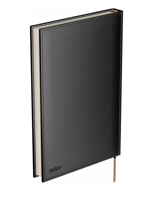 Agenda piele B5 Model C Black, Princ [4]