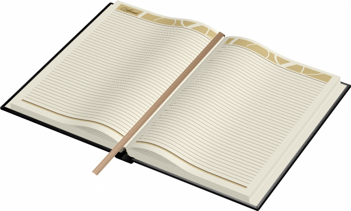 Agenda piele B5 Business Model F Black, Princ Leather [4]