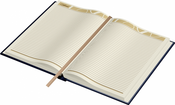Agenda piele B5 Business Model F Navy, Princ Leather [3]