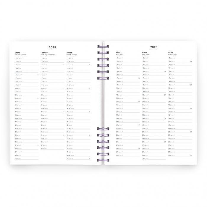 Agenda Plus 155x213 spira zilnica Pink Back to Basics MR25, Miquelrius [3]