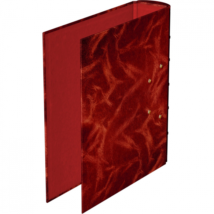 Biblioraft Premier Red cu 2 Inele, EL Casco [3]