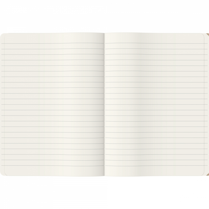 Caiet A5 Flying Spirit Beige, Clairefontaine [2]
