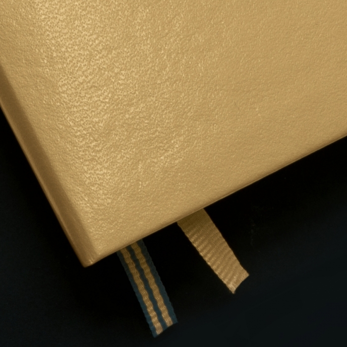 Caiet A5 Coperta Rigida Auriu, Leuchtturm1917 [3]