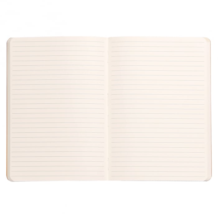 Caiet A5 Rhodia softcover Daffodile dictando, 160 pag [2]